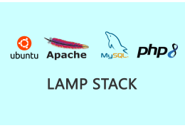 Software Requirements for a Website Project Based on the LAMP Stack