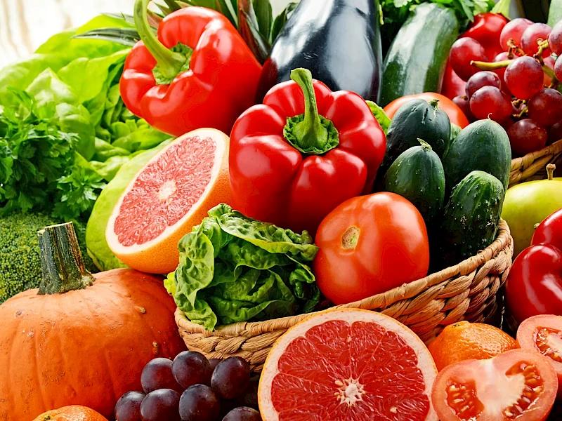 Processwire Blank preview